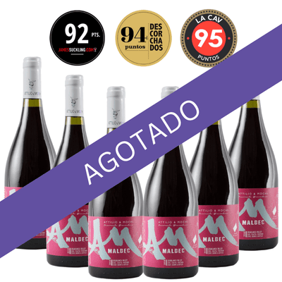 Caja AM Malbec 6x750ml Caja AM Malbec 6x750ml