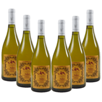 Caja Amber 6x750ml — 2