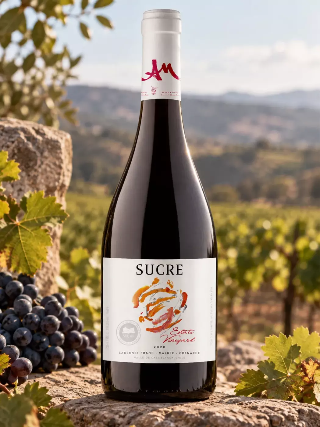 Sucre