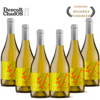 Caja Tunquen Viognier 6x750ml — 2