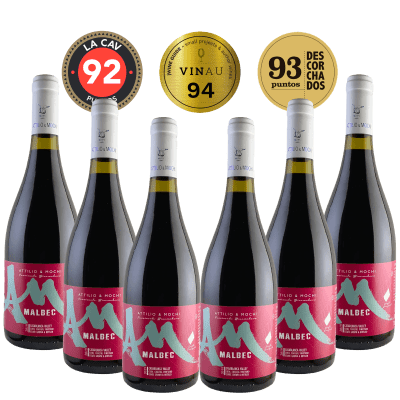 Caja AM Malbec 6x750ml