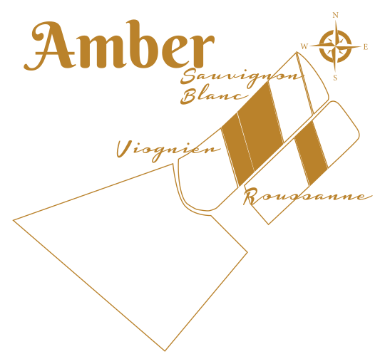 Amber 2019