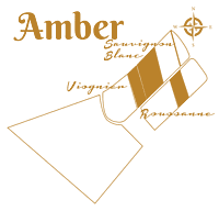 Amber