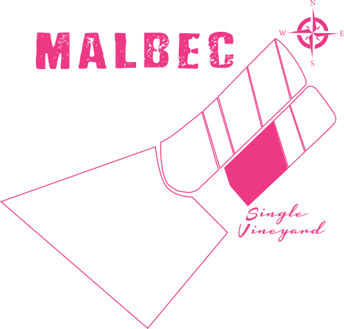 AM Malbec — 2